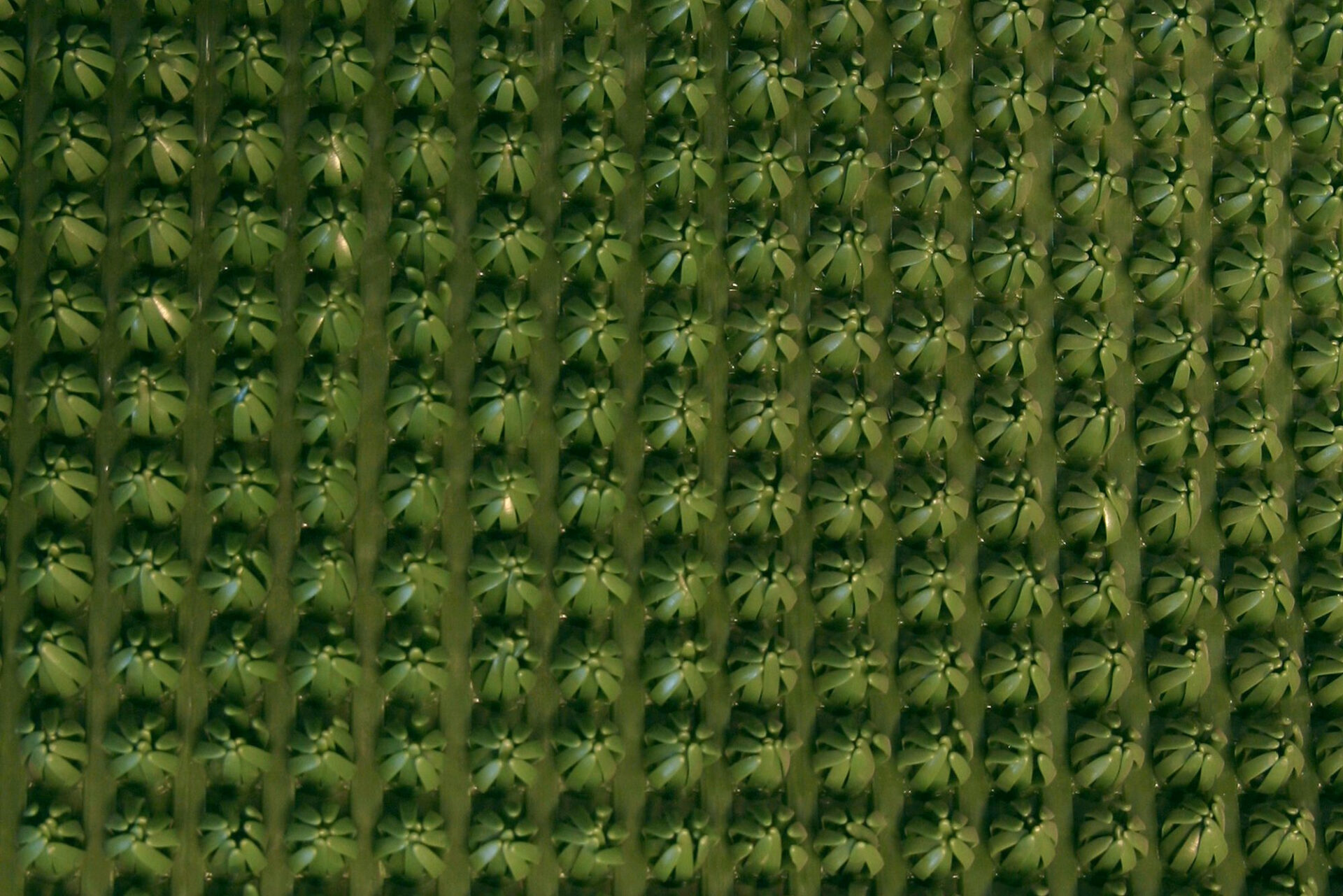 Tihe põld vaatega rohelisele viljale ülalt.