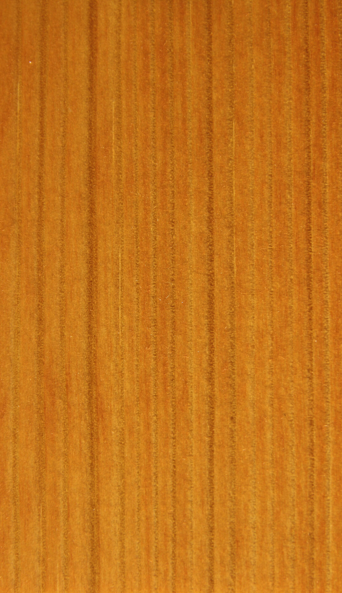 ÕLI Saicos WOOD OIL tiik (2.5 L)