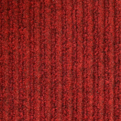 Punase vaiba detailne makropilt ribilise struktuuriga