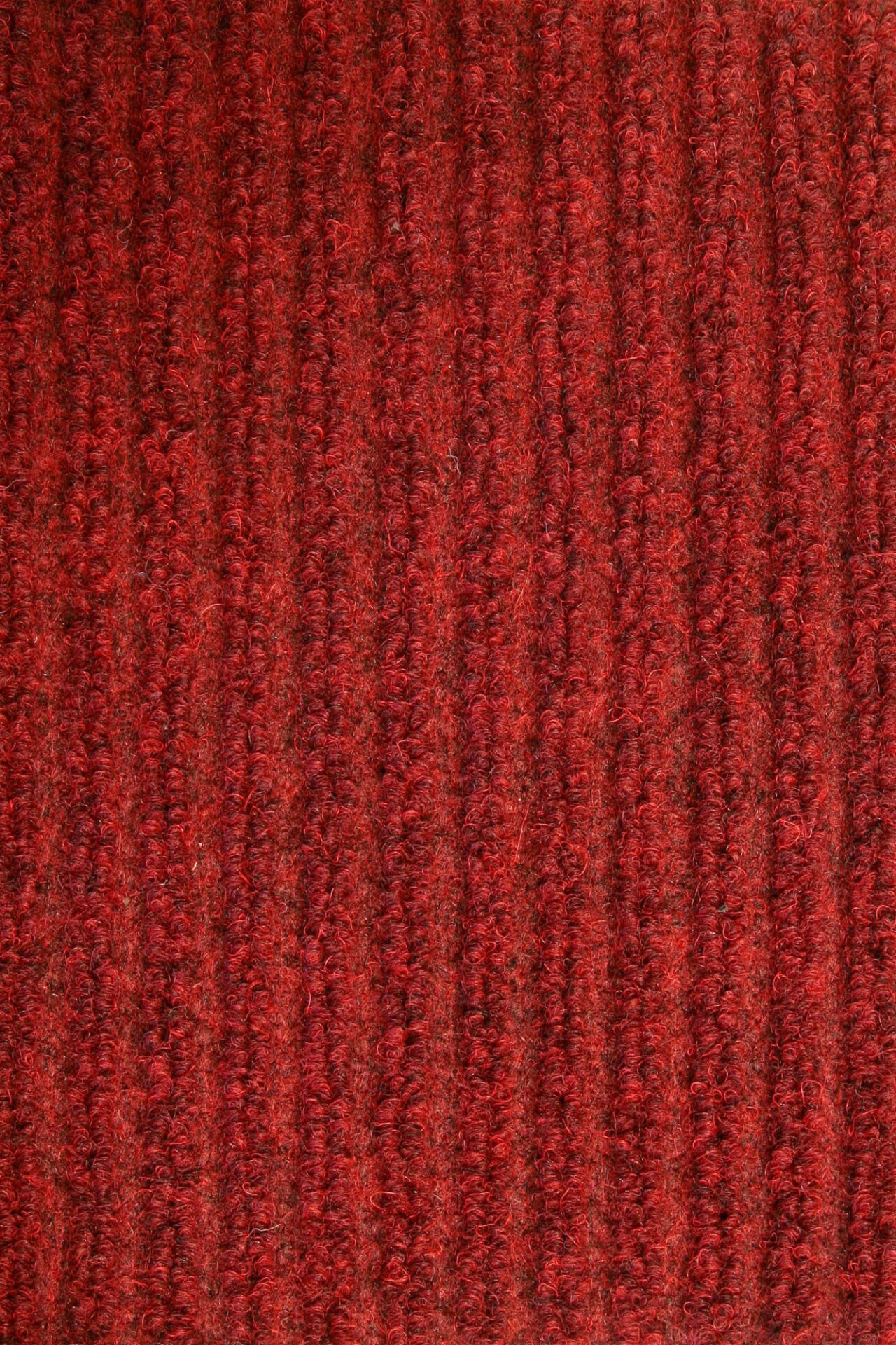 Punase vaiba detailne makropilt ribilise struktuuriga