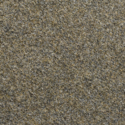 Hall hallitus päevakivi pinnas lähedalt vaadatuna