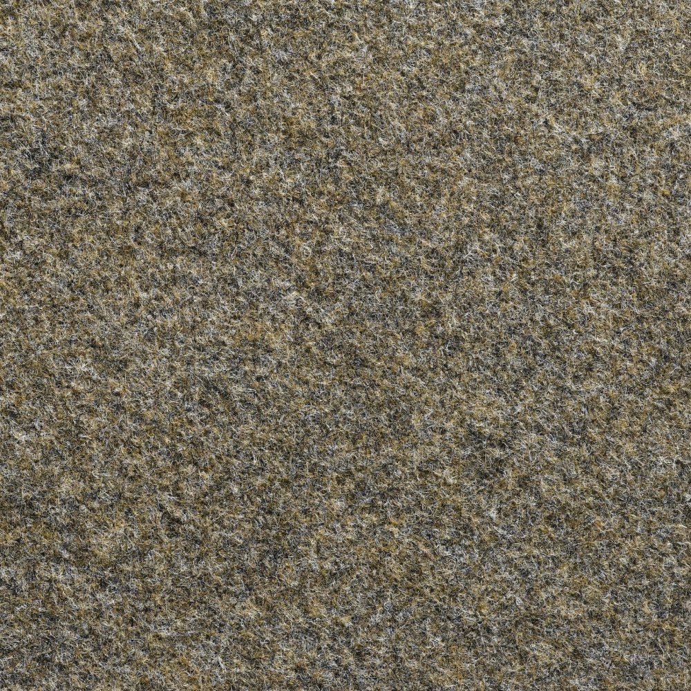 Hall hallitus päevakivi pinnas lähedalt vaadatuna