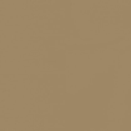 Beež värviga sile ühtlane taust Eestis.