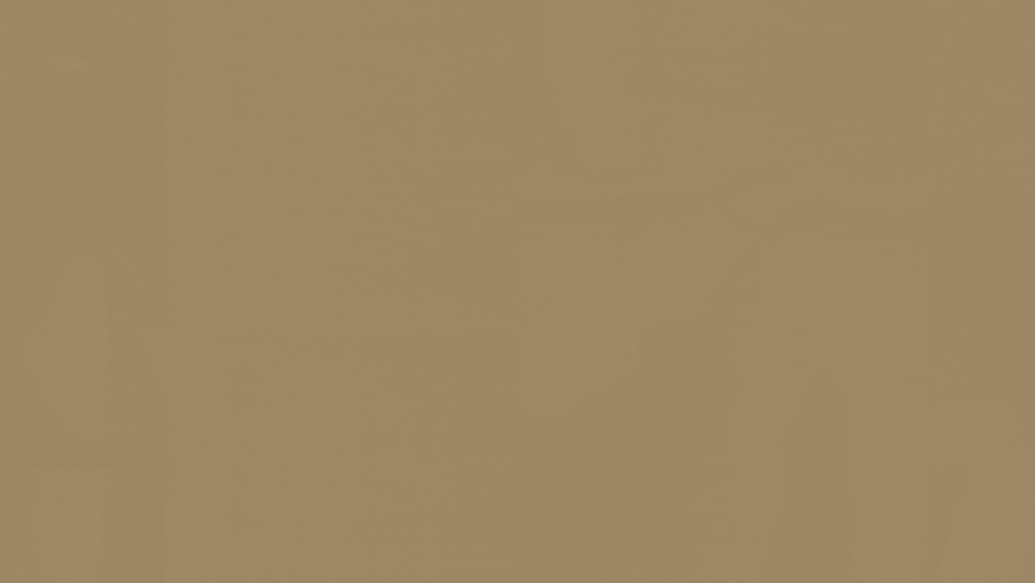 Beež värviga sile ühtlane taust Eestis.