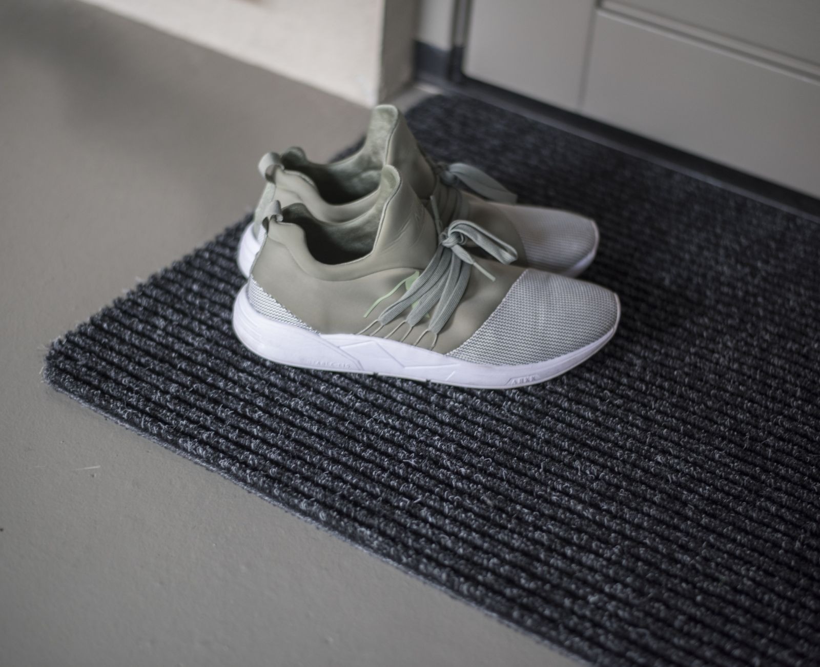 Hallis olevad hallid tossud uksematil