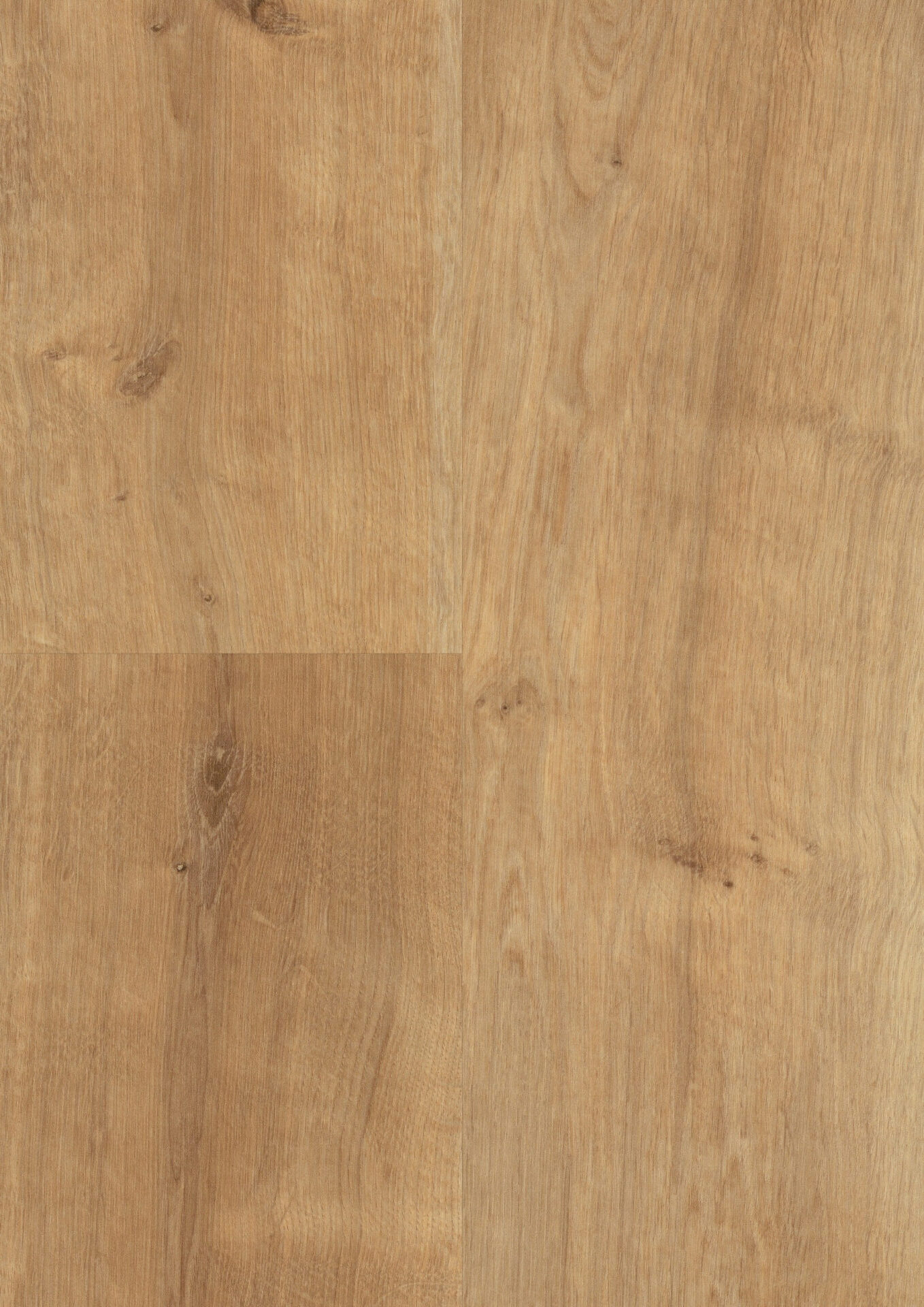 Heleda tammepuidu tekstuur hele pruun toon