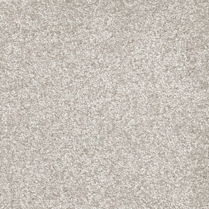 Helehall vaip detailse tekstuuriga korteripinnal