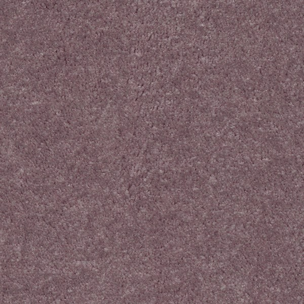 Hallikas lillakas vaipkaunistus sisekujunduseks kodus.