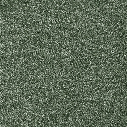 Roheline vaip vaipkatete jaoks kaasaegses elutoas