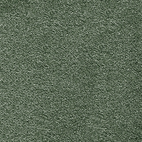 Roheline vaip vaipkatete jaoks kaasaegses elutoas