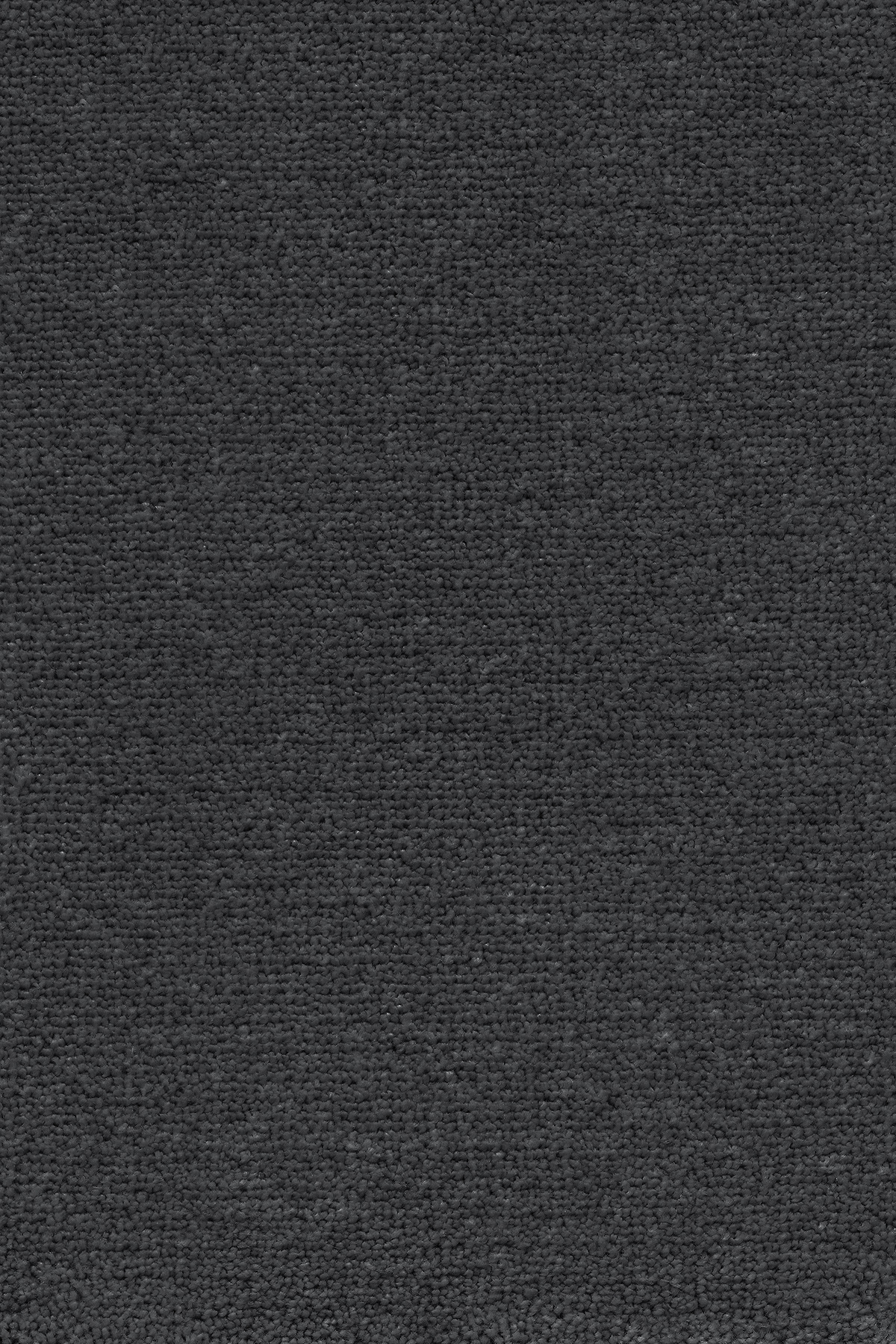 Tumehall vaipkate kontrastse tekstuuriga sisekujunduses