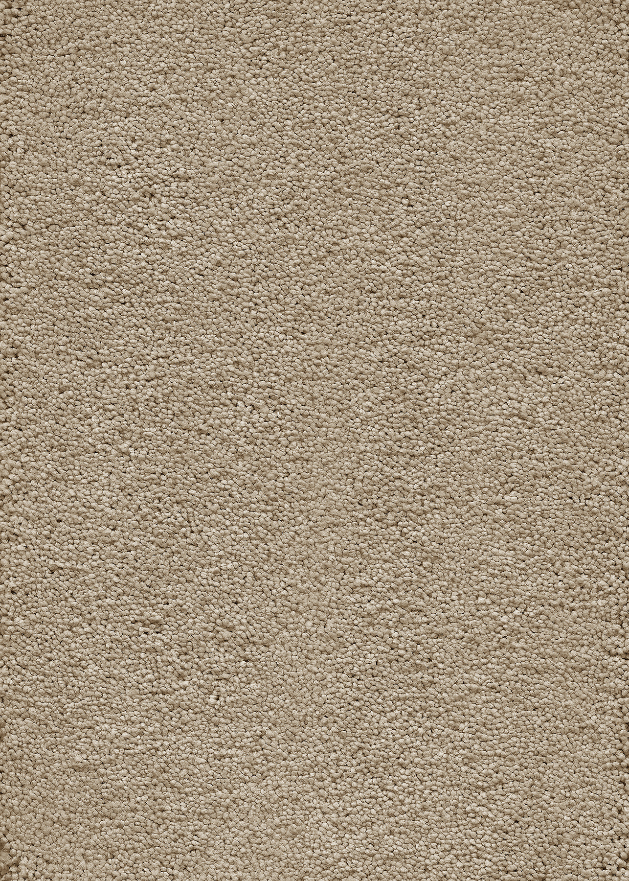 Beige vaip lähedalt vaade ühtlane tekstuur.