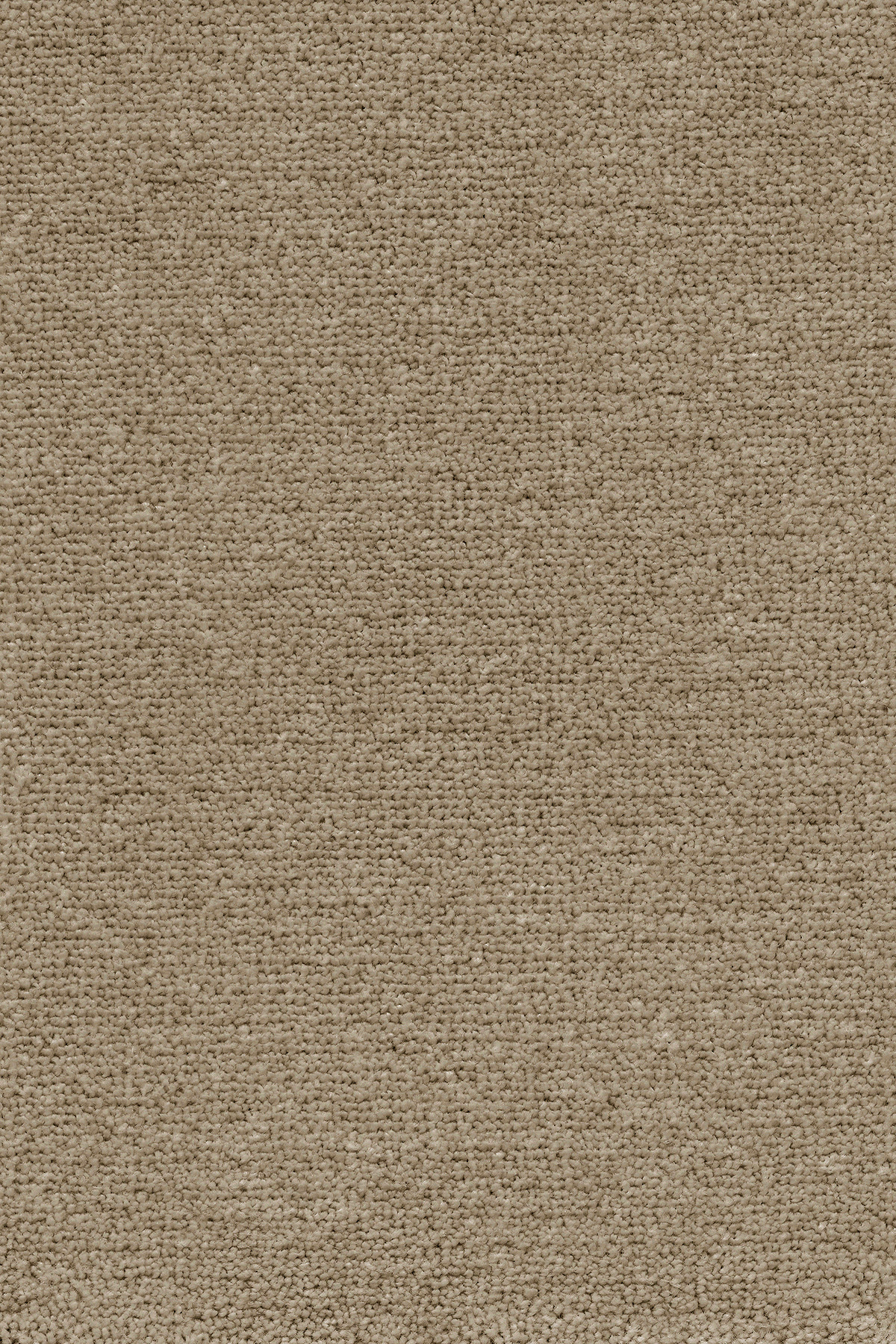 Beeži tekstuuriga vaip ruumikujunduseks või põrandakatteks