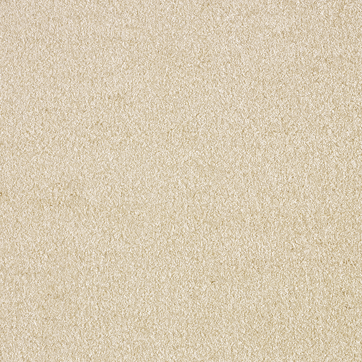 Beež vaip põrandakatte stiilne ja kaasaegne tekstuur.