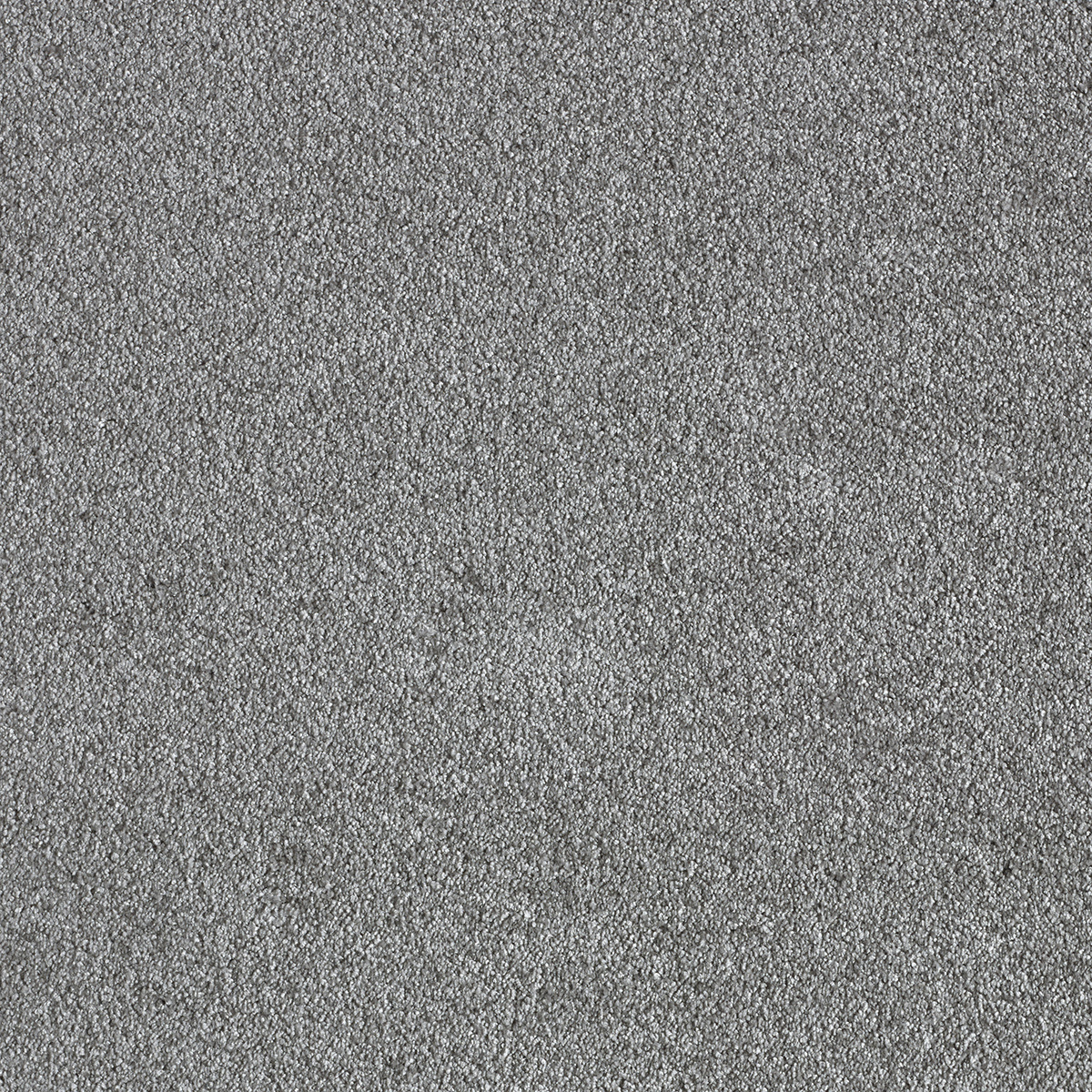 Hallide hall vaip pehme ja sile pind kaasaegses toas