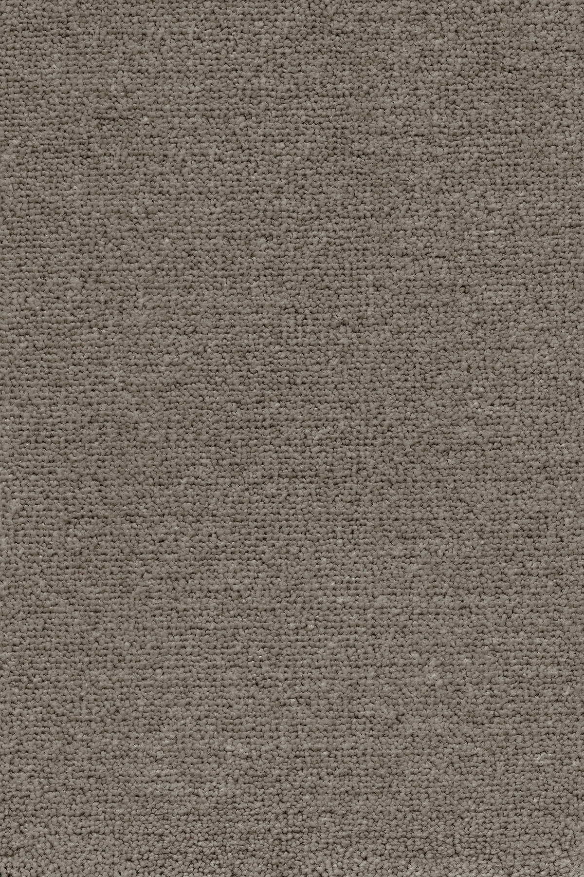 Hallikas vaip pehme tekstuuriga kodusisustus aksessuaar.