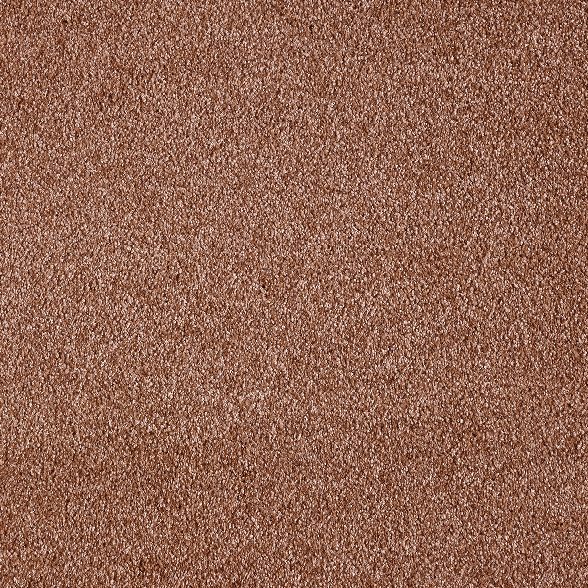 Pruun vaip neutraalse koduse interjööri jaoks