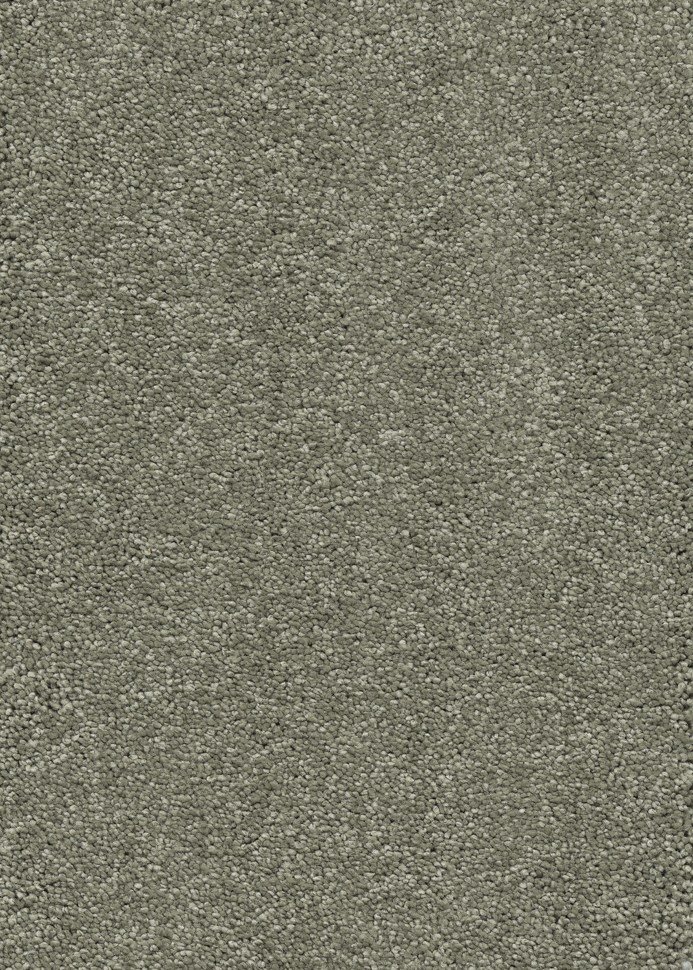 Hallikas hall vaip korteri elutoa põrandakattematerjal.