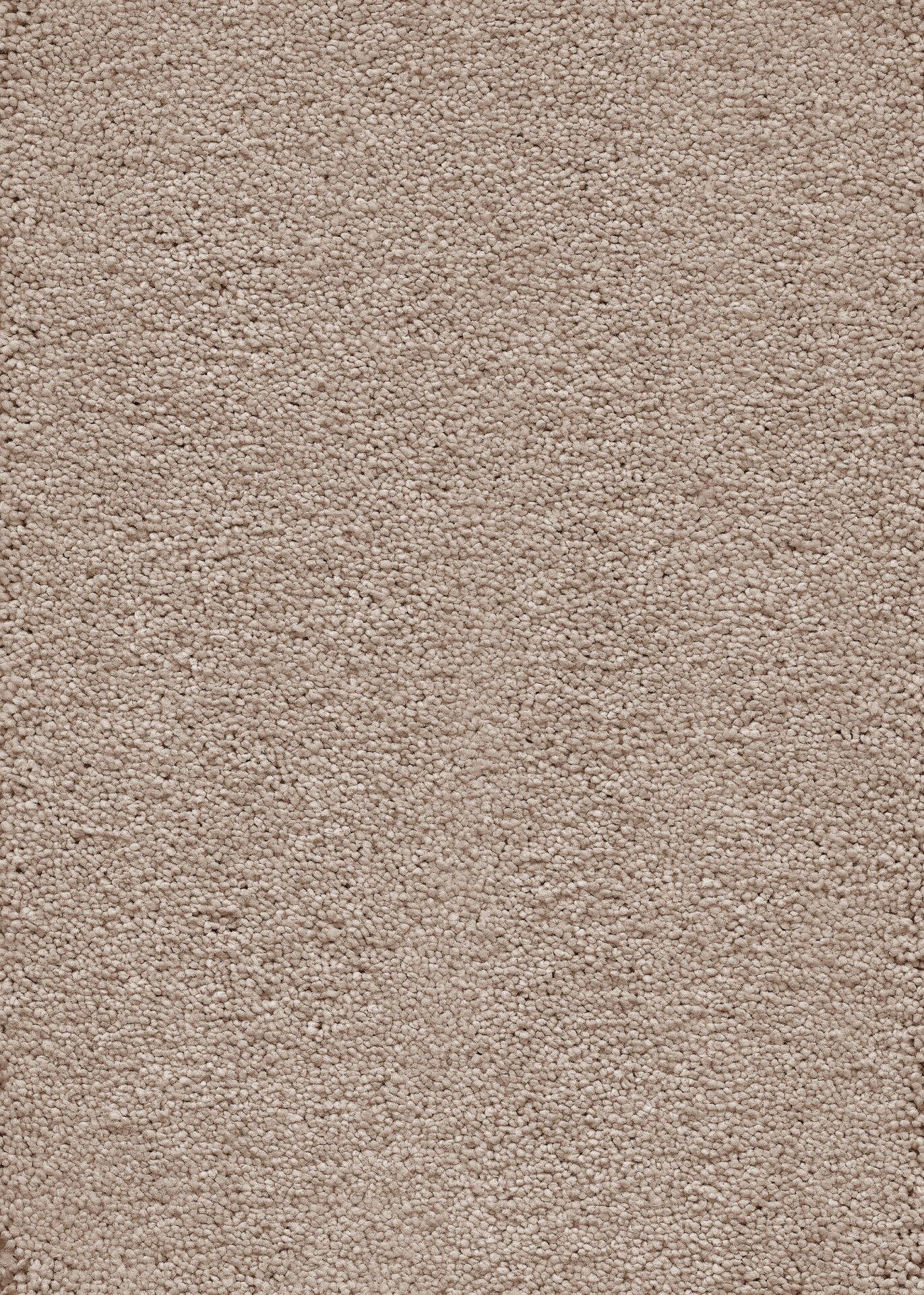 Beezi vaip beežis värvitoonis hubase interjööri loomiseks