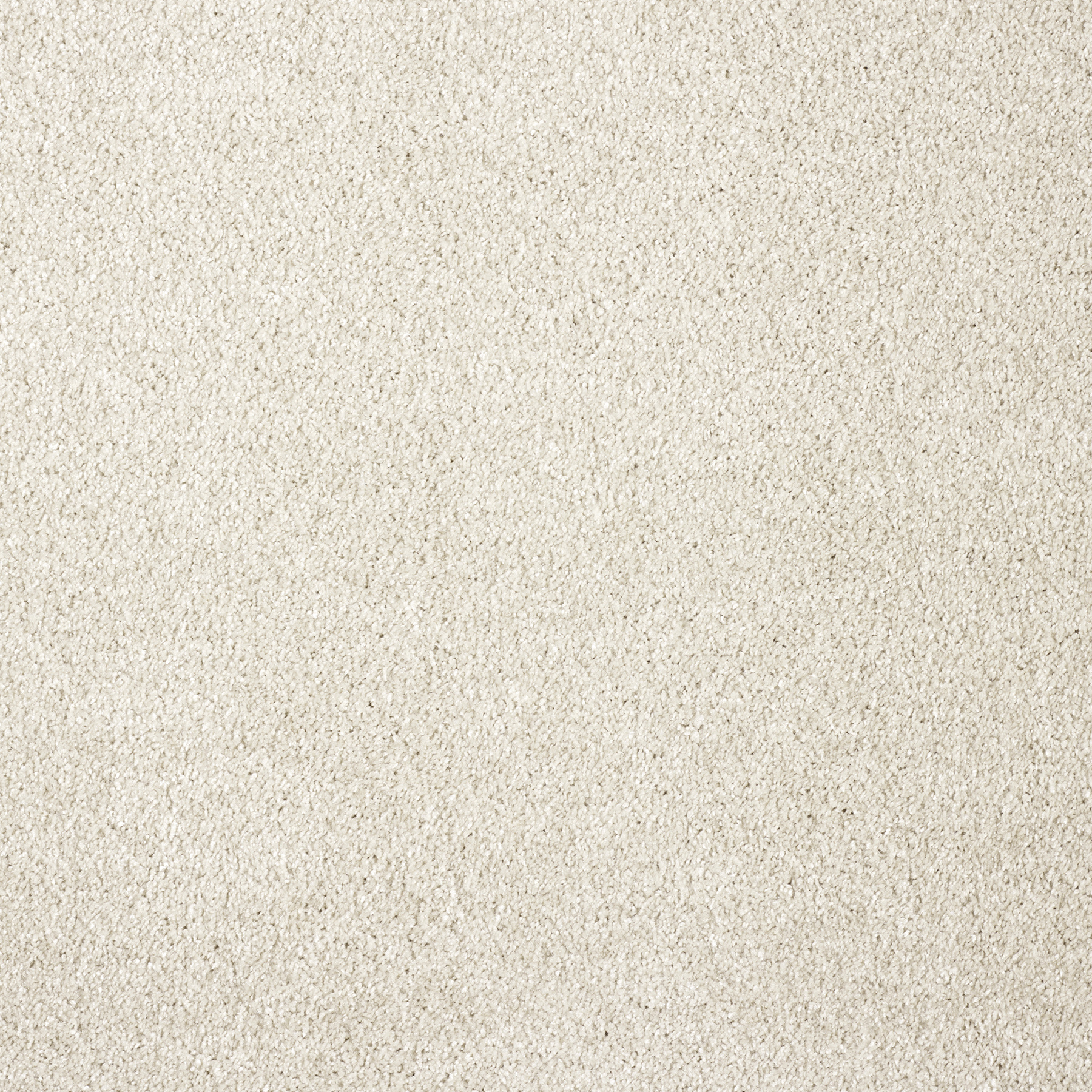 Valge vaip minimaalne ja kaasaegne sisustusmuster