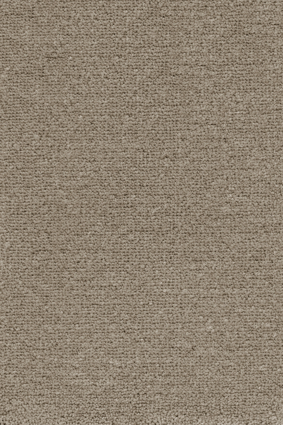 Neutraalne beež vaip lähedalt vaadatuna tekstuuriga.