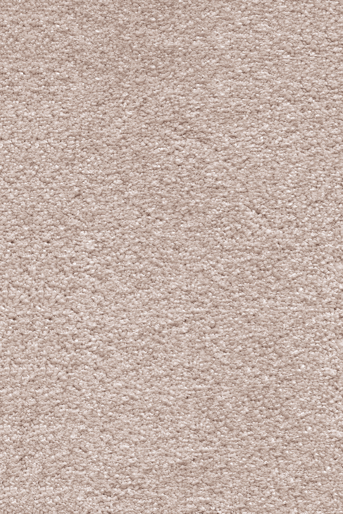 Pehme beeži vaip ühtlase tekstuuriga põrandakate