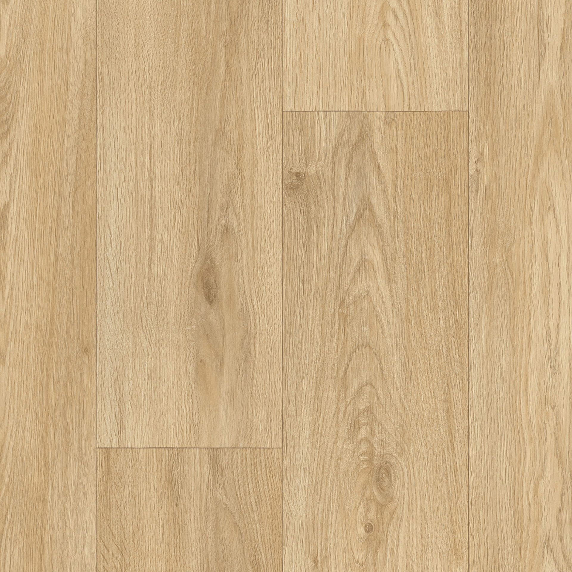 Helesest tammepuidust parketi tekstuur ja muster