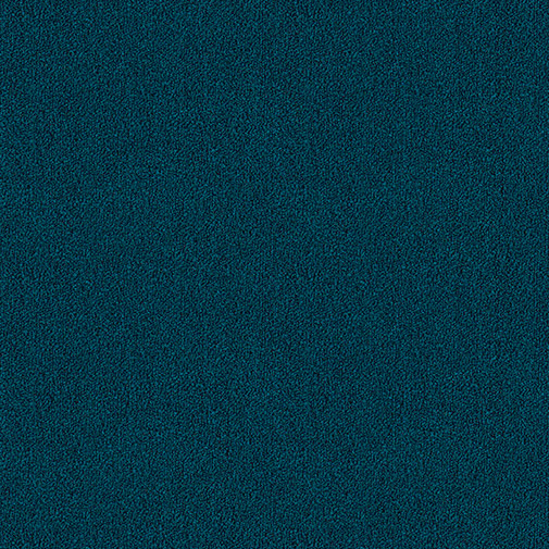 Sinine tekstuuriga vaip sujuva pinnakattega.