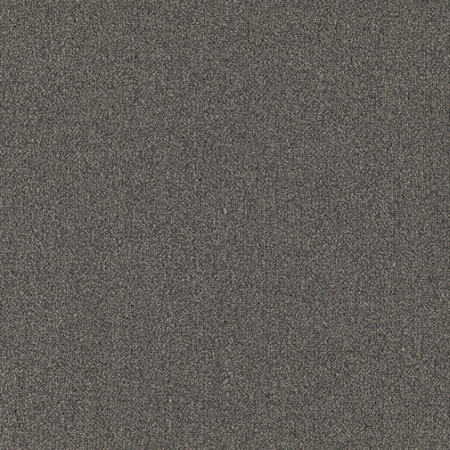 Hallhallalise vaip pehme tekstuuriga tumehall toon