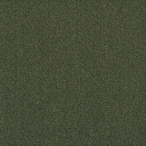 Tumeroheline vaip elegantse ruumiga kaasaegseks koduks