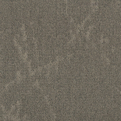 Hallihallitus hall vaip neutraalse halliga muster