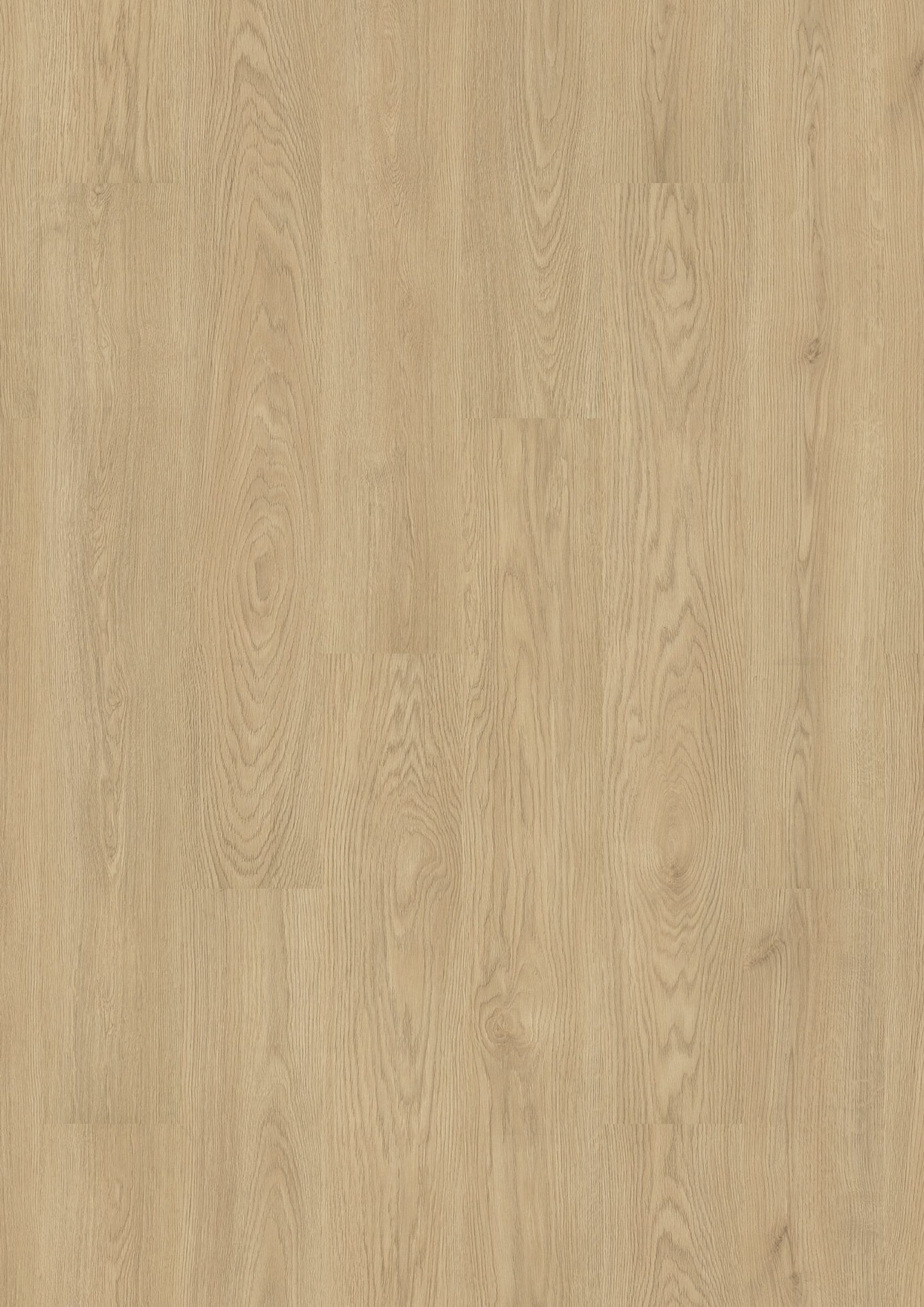 Valge tamme puitpõranda materjal hele toon