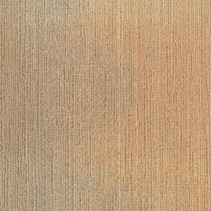 Beež vaip minimalistikus elutoa sisekujunduses tekstuur