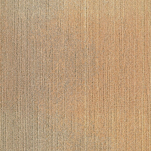 Beež vaip minimalistikus elutoa sisekujunduses tekstuur