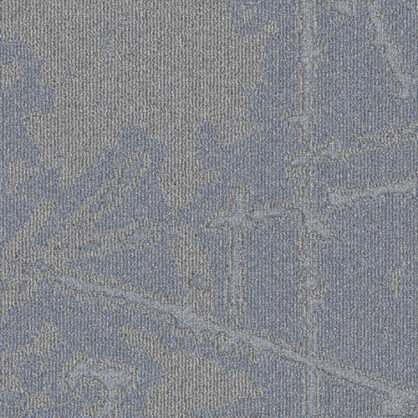 Sinine ja hall lilleline vaip tekstuuriga muster