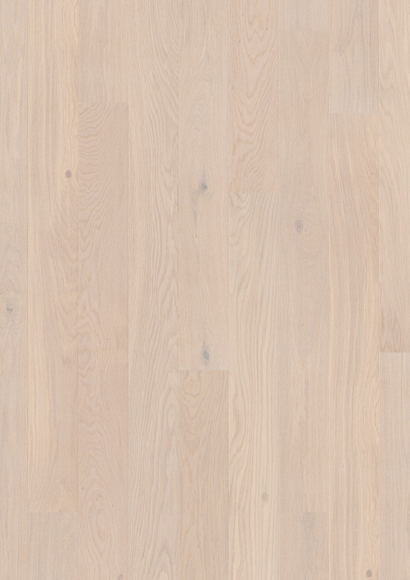 Hele puitparkett valgus tooni vaade lähedalt