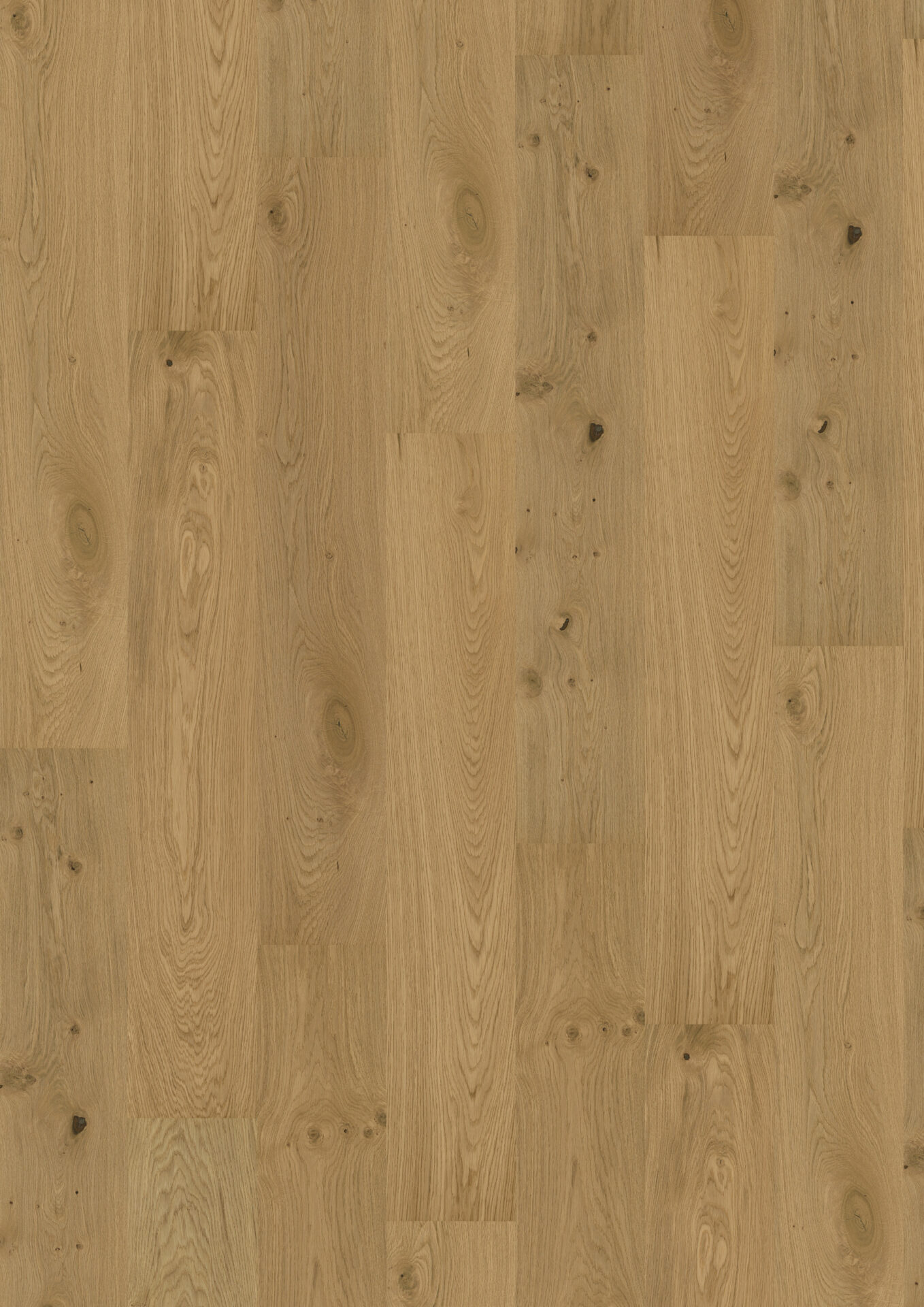 Looduslik tammeparkett hele pruuni tooniga