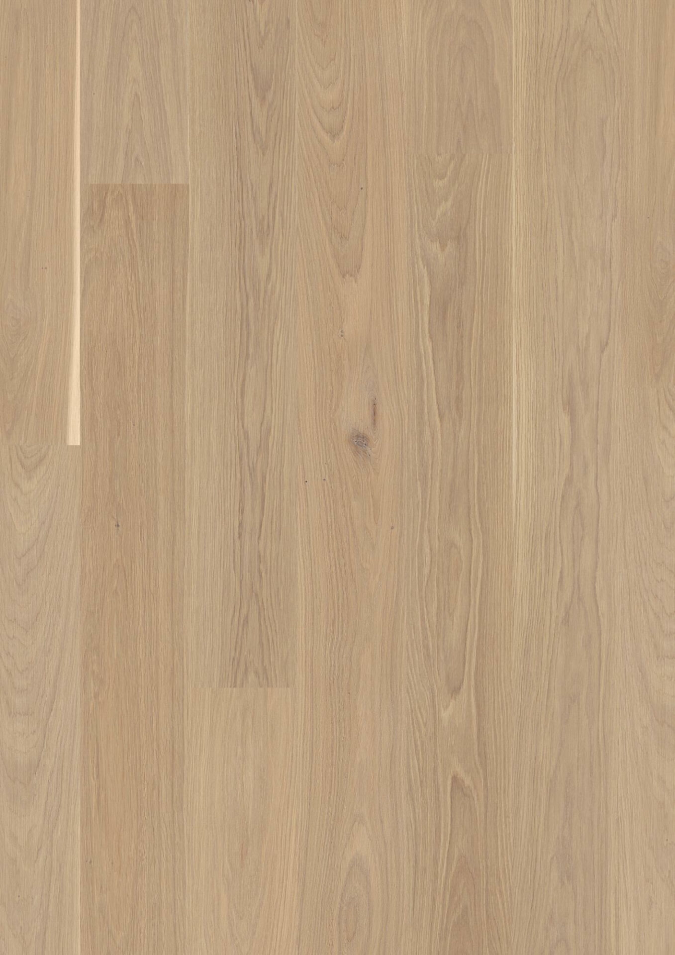 Hele puitpõrand kaasaegse sisustuse jaoks.