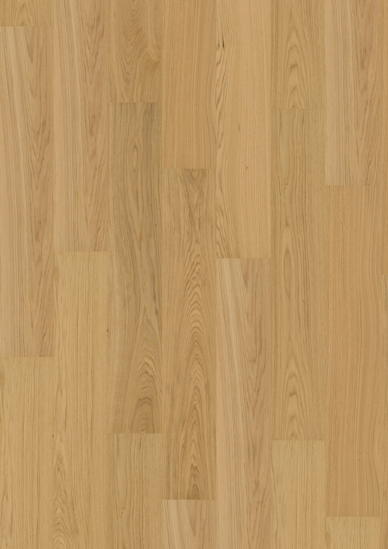 Puidu tekstuur heledate tammelaudade muster Estonia