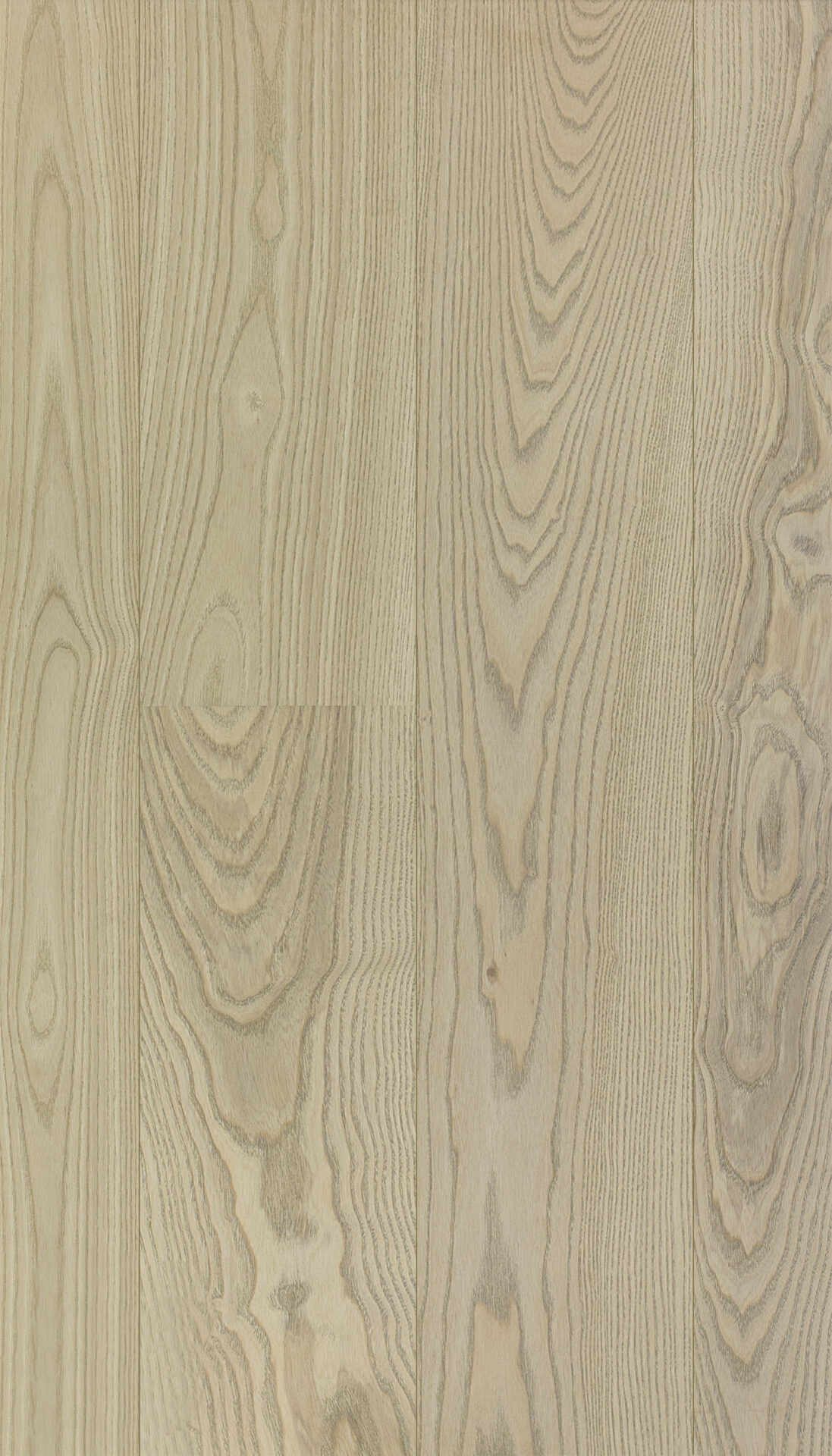 Hele tammeparkett puidu tugev tekstuur detailid