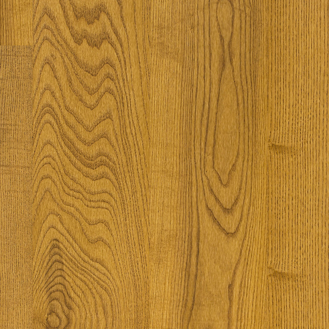 Puitpaneeli tekstuur looduslik tammepuidu muster