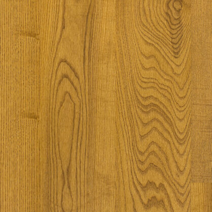 Kollase tamme puidu tekstuur lähedalt vaadates