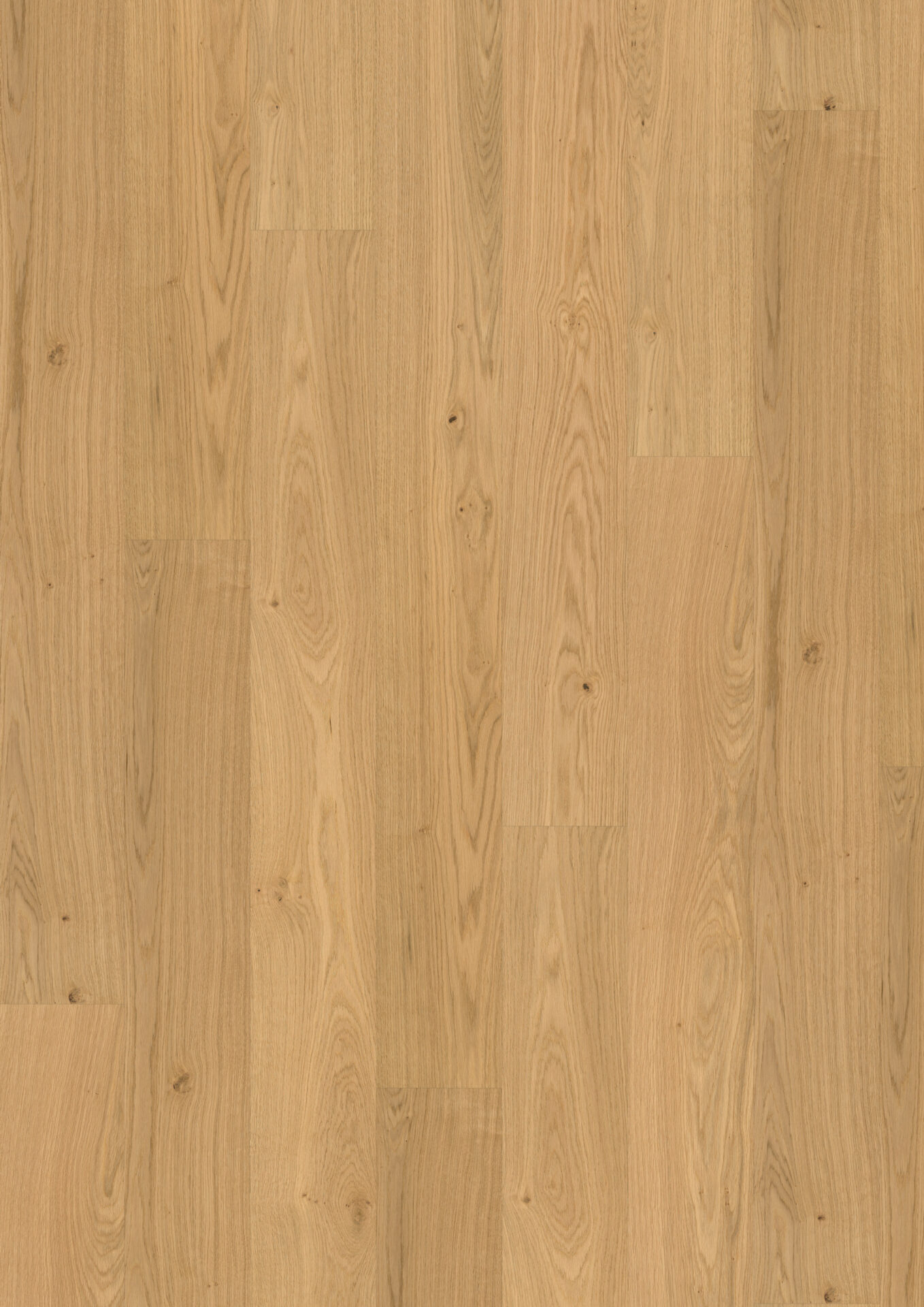 Hele puidust põrandaplaat naturaalses valguses.