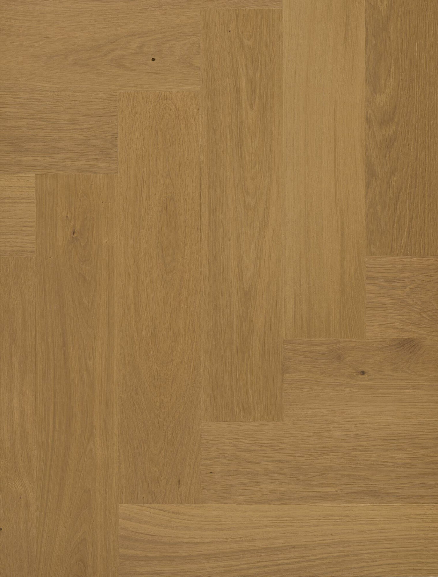 Helekarva puidust parketi muster ja tekstuur