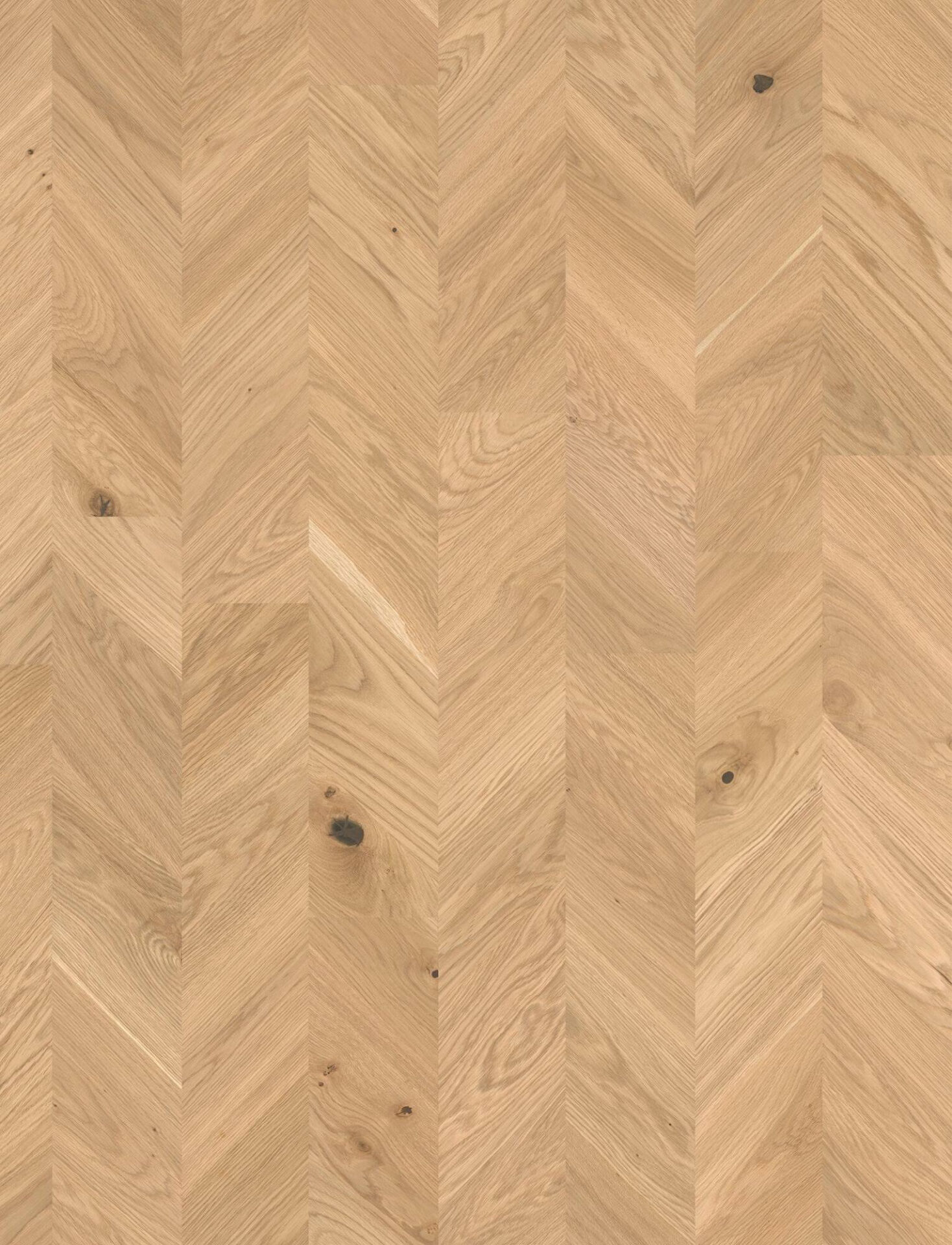 Puidust parkett hele tamme kalasabamustriga põrand