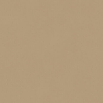 Pruun ühtlane taust fotol detailideta pind