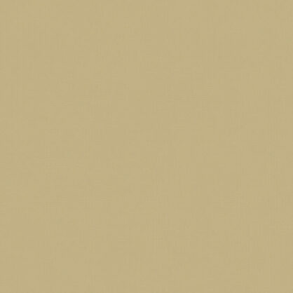 Ühtlase beeži taustaga minimalistlik tekstuuripilt.