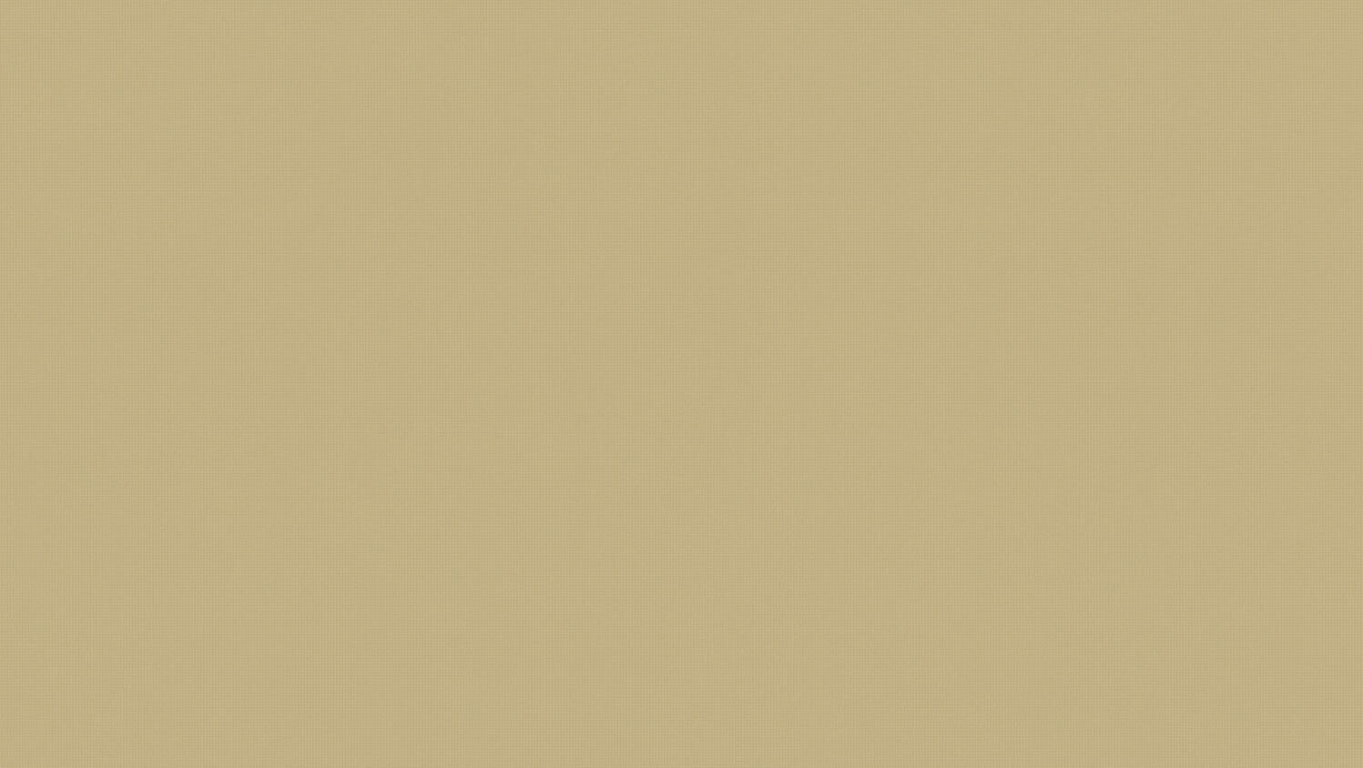 Ühtlase beeži taustaga minimalistlik tekstuuripilt.