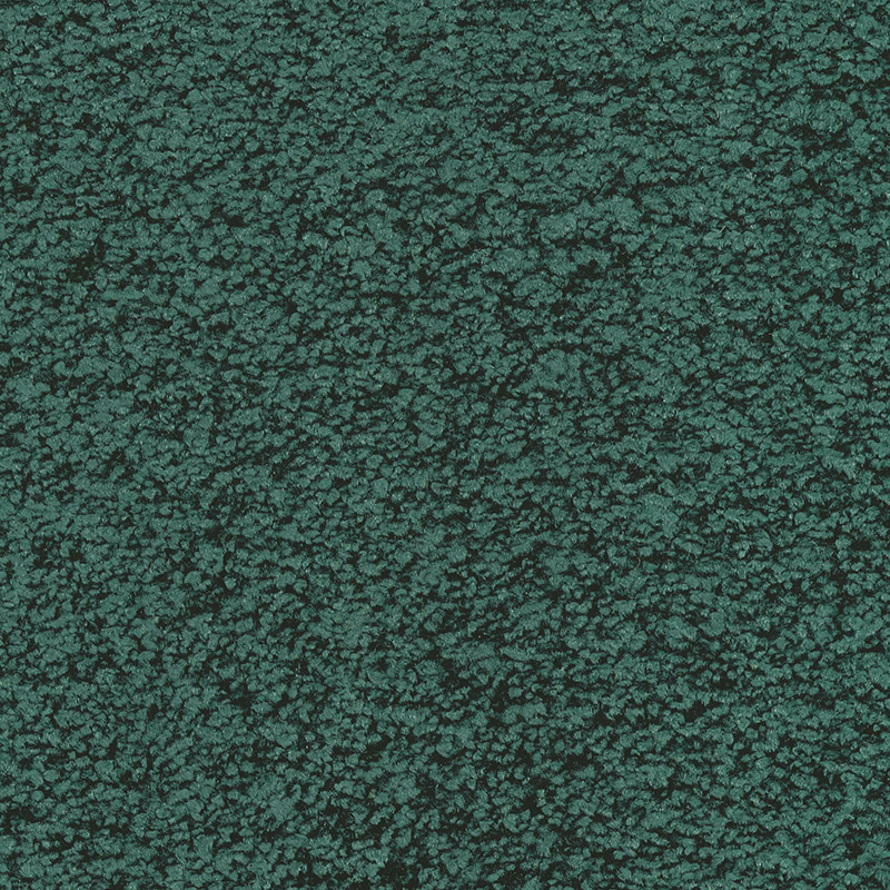 Roheline samblane tekstuur lähedalt vaadates Eesti