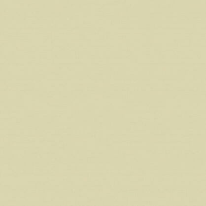 Hele beež taust täidab kogu pildi ala.